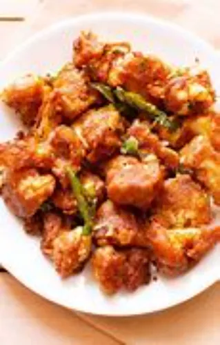 GOBI 65